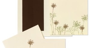 Baby’s Breath Floral Invitation and Note Card Kit – Quantity of 50